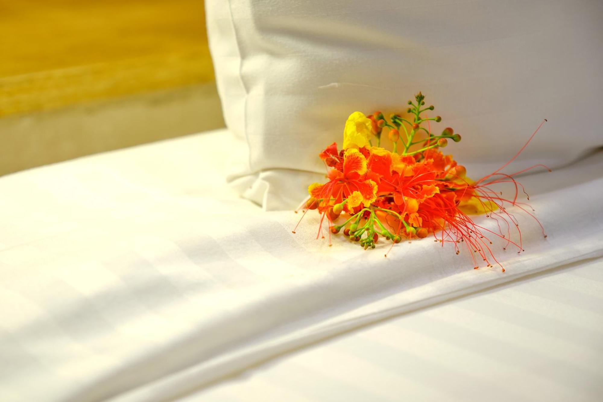 Hotel Royam Saly Portudal Eksteriør bilde